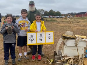 Bees- Photo 3